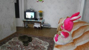 Image1