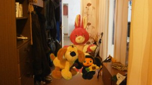Image7