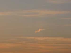 IMG_06
